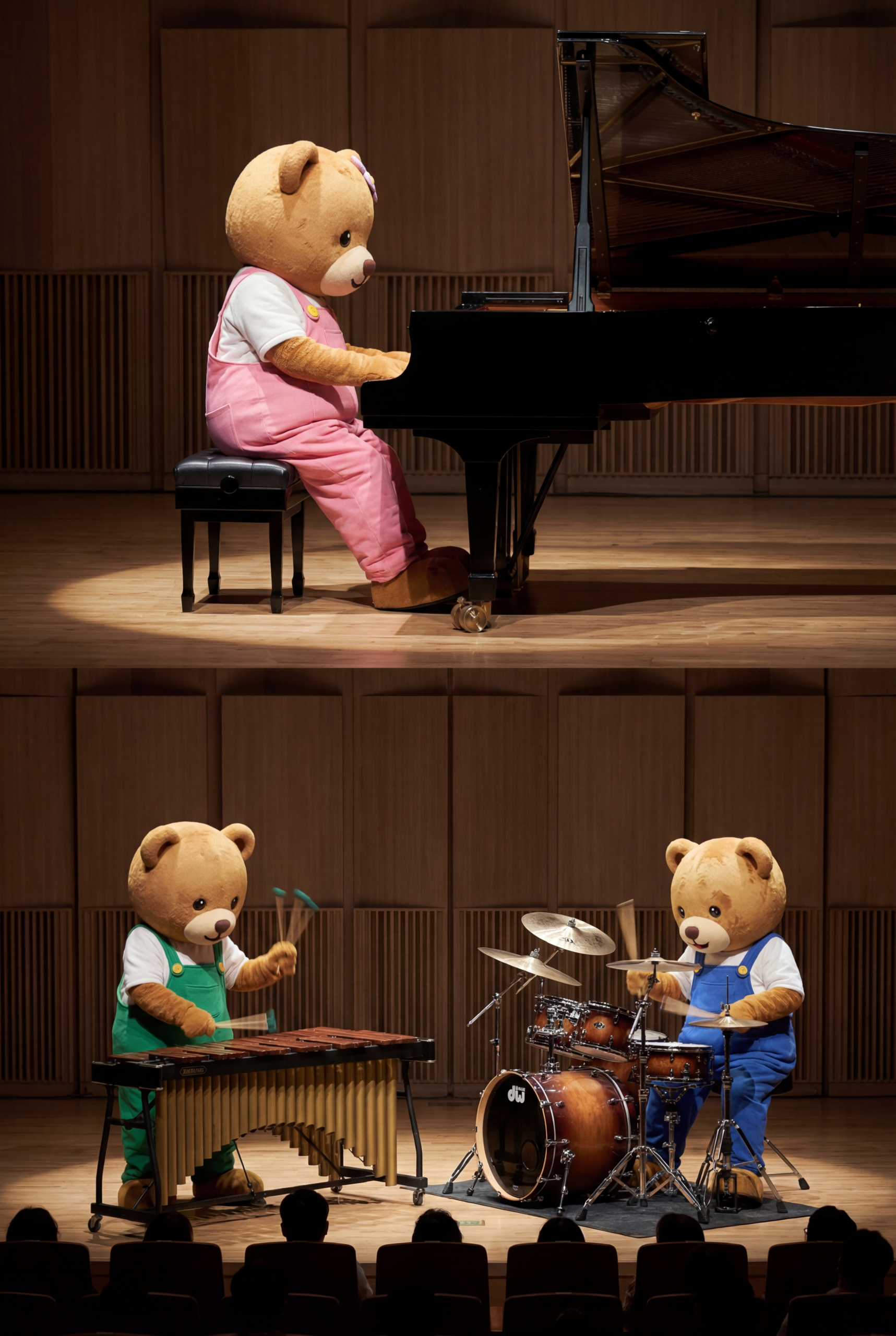 전문 연주자의 생생한 라이브